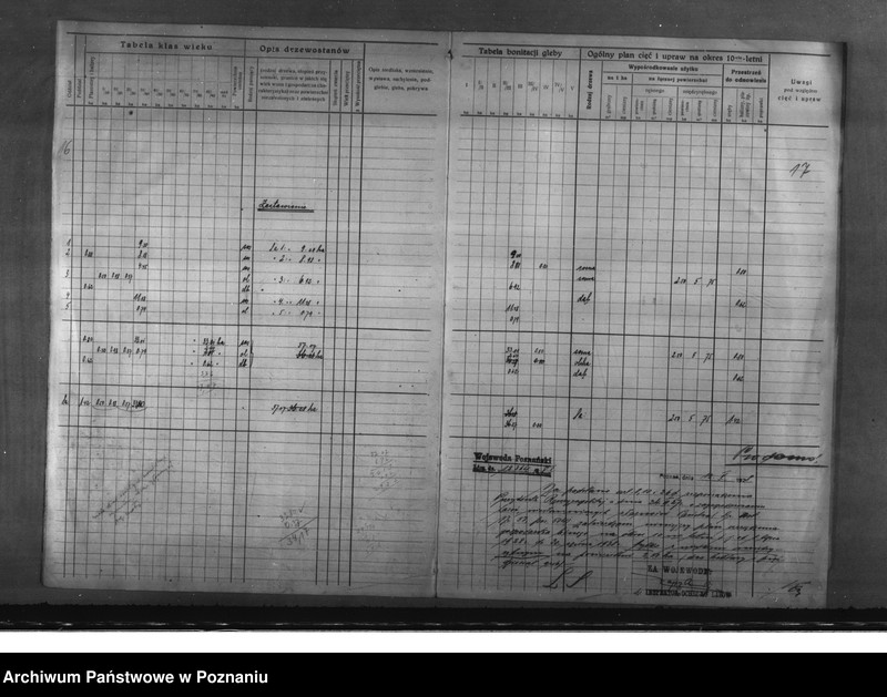 Obraz 15 z jednostki "Program urządzenia gospodarstwa leśnego dla lasu majętności Glinno powiat poznański 1928-1938"