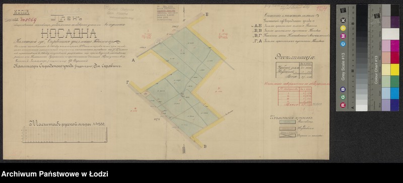 Obraz 1 z jednostki "Plan obščestvennogo pastbišča, razdělennogo na podvornye učastki v