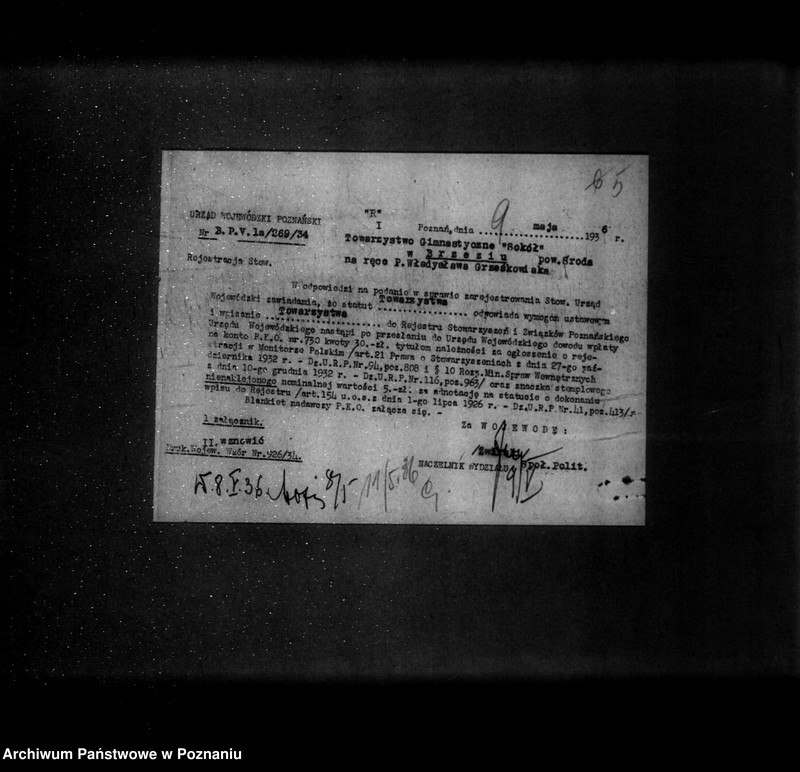 Obraz 9 z jednostki "/Towarzystwo Gimnastyczne Sokół w Brzeziu powiat Środa - rejestracja/"