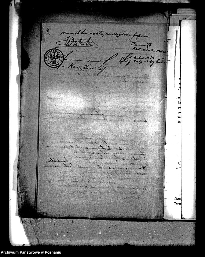 Obraz 13 z jednostki "Majątek Radomyśl powiatu leszczyńskiego gospodarstwo wzorcowe"