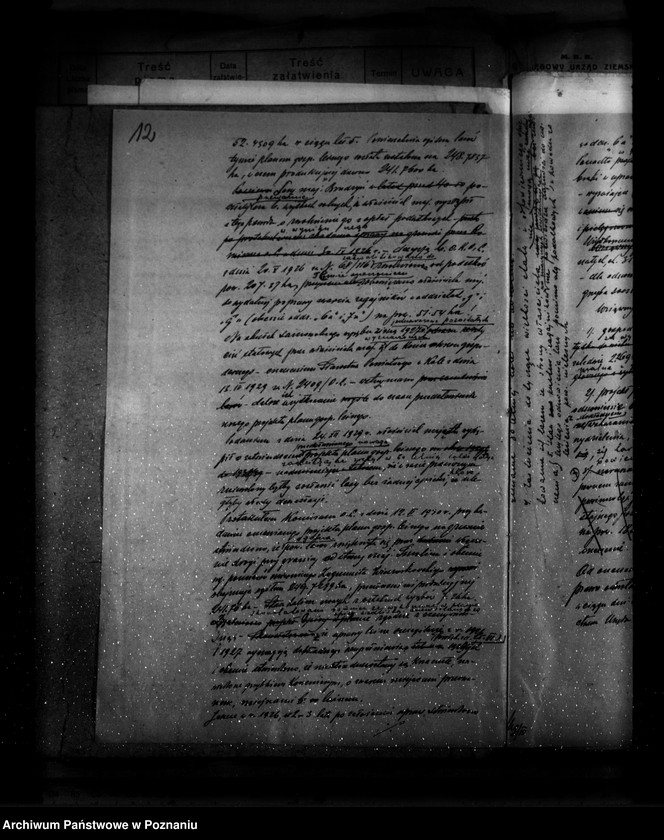 Obraz 16 z jednostki "Zatwierdzenie projektu planu gospodarczego dla lasu majątku Brudzew powiat turecki"