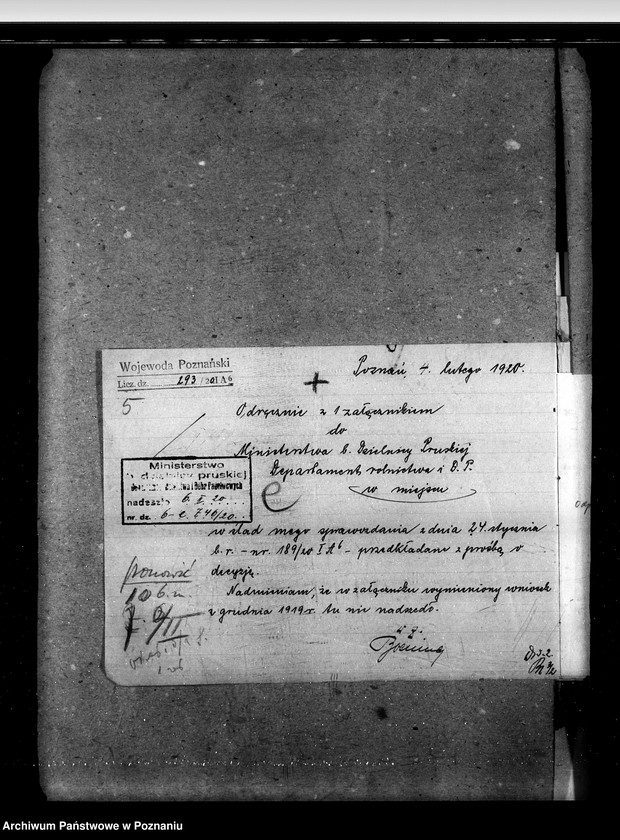 image.from.unit.number "Sprawy stadnin ogiery nielicencjonowane"