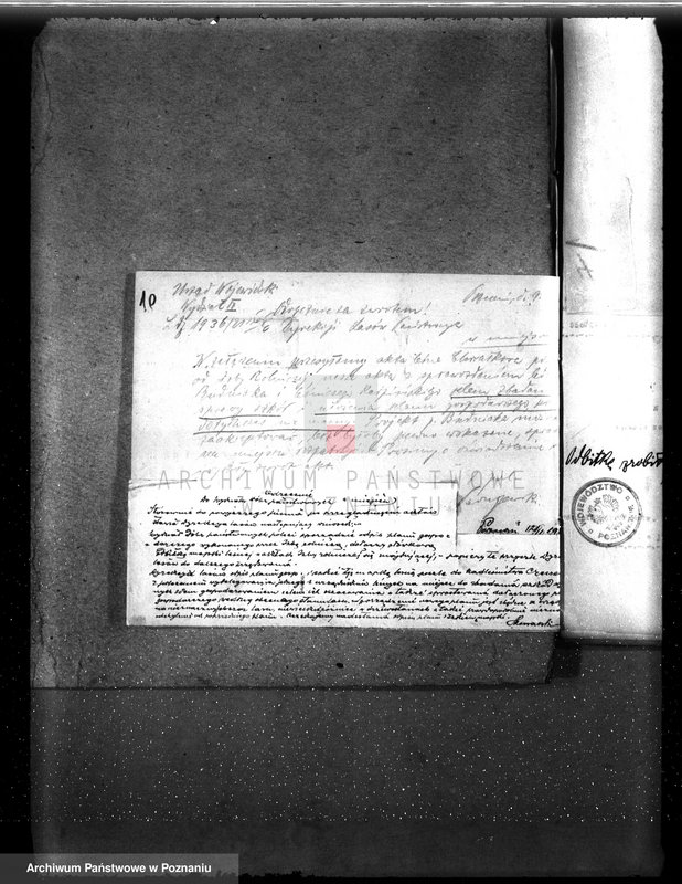 Obraz 15 z jednostki "Drzewostan na majątku państwowym Chwałkowo powiat średzki"