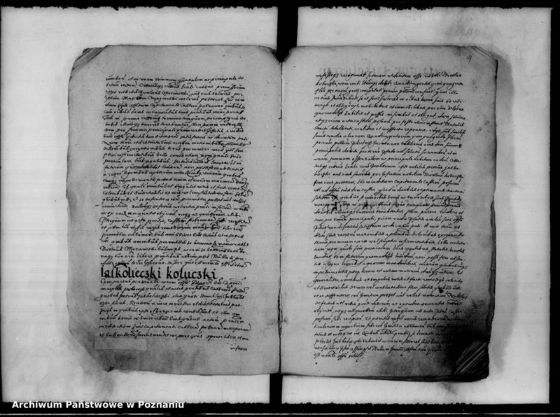 Obraz 8 z jednostki "Inscriptiones, relationes [inducta]"