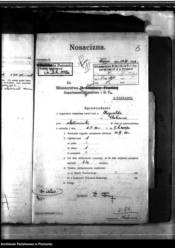 Obraz 7 z jednostki "Nosacizna - Chełmno"