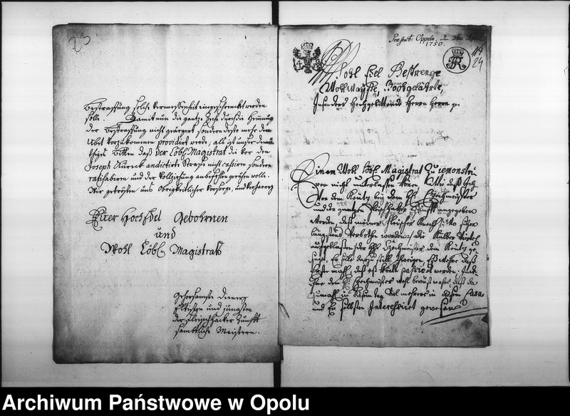 Obraz 20 z jednostki "Acta des Magistrats zu Oppeln betreffend das hiesige Fleischer-Mittel"