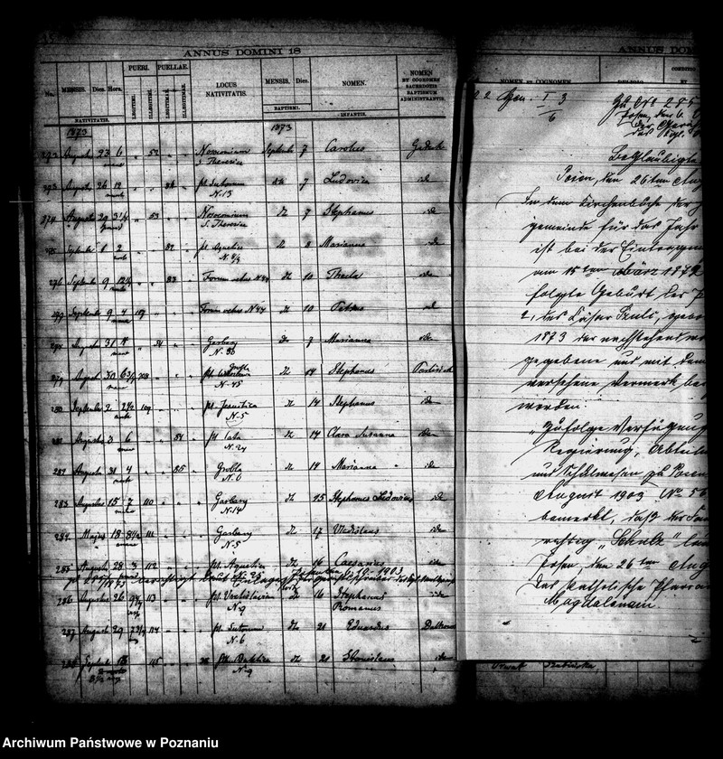 Obraz 19 z jednostki "Księga urodzin"