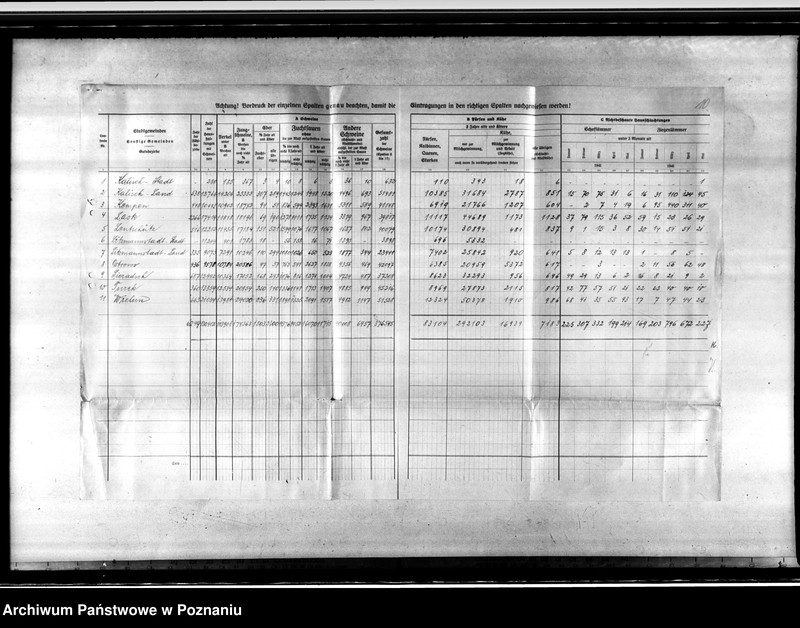 Obraz 14 z jednostki "Viehzählung"
