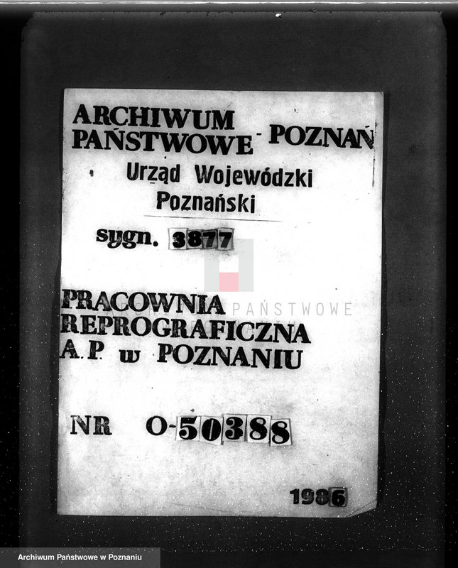 Obraz 20 z jednostki "Nadzór nad gospodarką w lasach majętności Tulce powiat średzki"