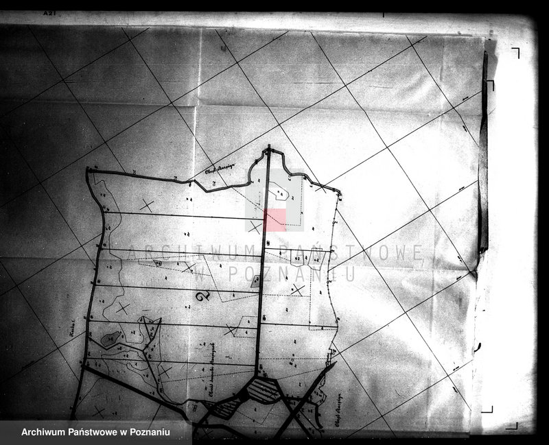 Obraz 11 z jednostki "Przewłaszczenie ziem dotacyjnych Kopanica-Starężynek powiat wągrowieckiego"