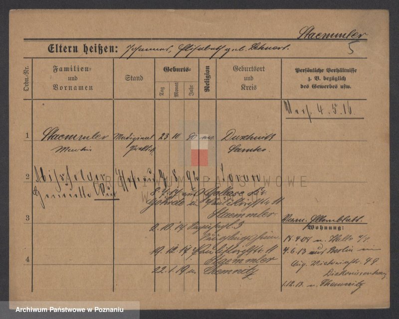 Obraz 12 z jednostki "Stemler - Steńko"