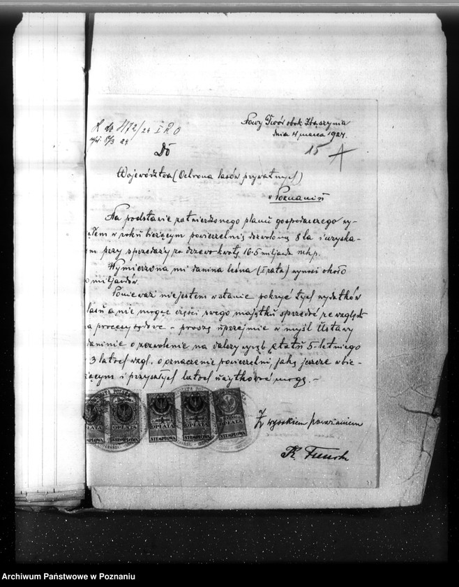 Obraz 14 z jednostki "Nadzór nad gospodarką w lasach majętności Nowy Dwór w powiecie nowotomyskim"