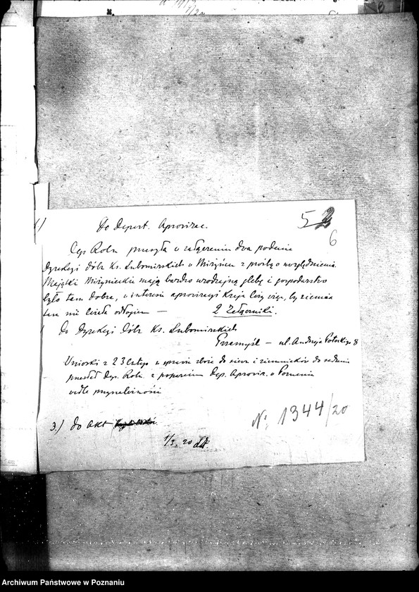 Obraz 10 z jednostki "Sprawy szczegółowo-administracyjne Sadzonki"