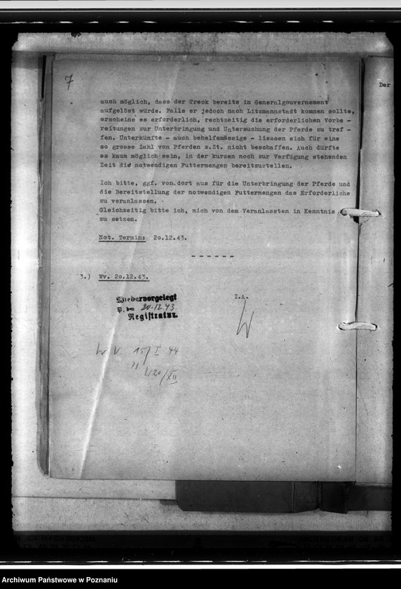 Obraz 11 z jednostki "Einfuhr von Tieren aus den besetzten Ostgebieten - auch der Schwarzmeerdeutschen"