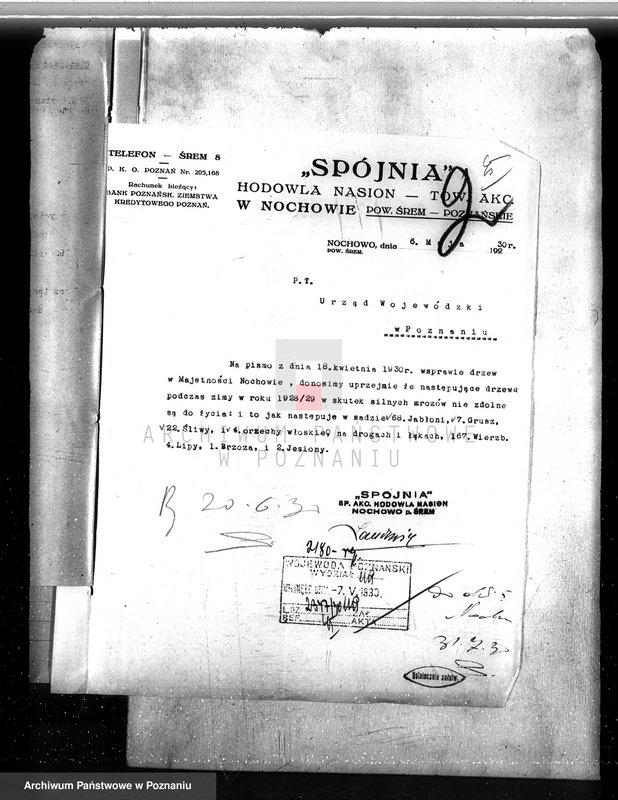image.from.unit.number "Las majętności Nochowo w powiecie śremskim"