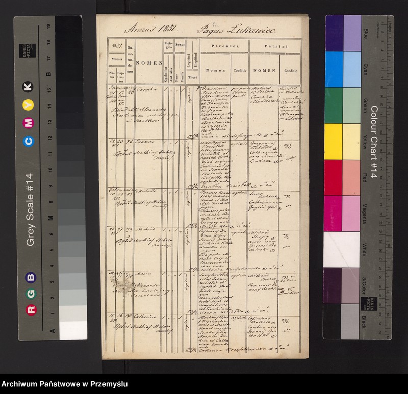 image.from.unit.number "Extractus ex libris metricalibus natorum, copulatorum et mortuorum ecclesia parochialis r.l. Łukawicensis pro anno a Nativitate Christi Domini 1851. Pagi: Łukawiec, Bihale, Szczutków cum Ruda Szczutkowska et Nowa Grobla  [Wyciąg z ksiąg metrykalnych urodzeń, małżeństw i zgonów parafii obrządku łacińskiego w Łukawcu za rok 1851 wsie – Łukawiec, Bihale, Szczutków z Rudą Szczutkowską, Nowa Grobla]"