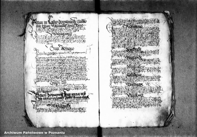 Obraz 12 z jednostki "Inscriptiones, relationes, decreta [inducta]"