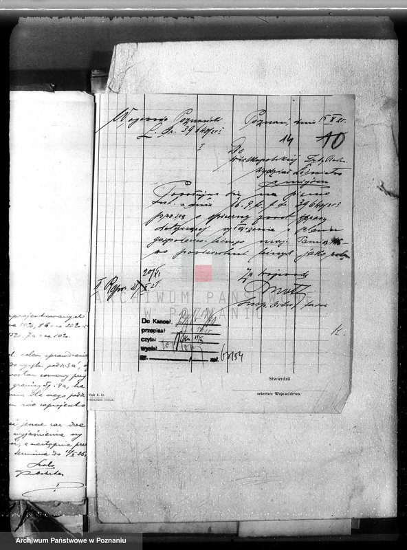 Obraz 20 z jednostki "Nadzór nad gospodarką w lasach majętności Pamiątkowo powiat obornicki"