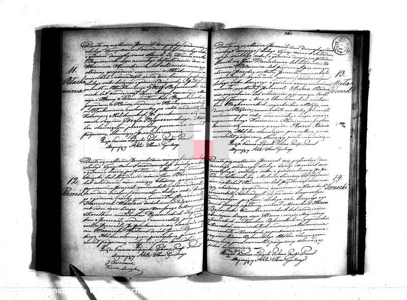 image.from.unit.number "Duplikat Urodzonych, Zaślubionych i Zmarłych Parafii Przerośl za rok 1866"