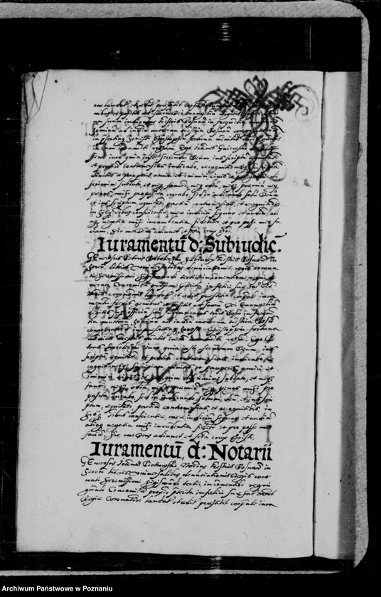 Obraz 5 z jednostki "Inscriptiones, relationes, decreta [inducta]"