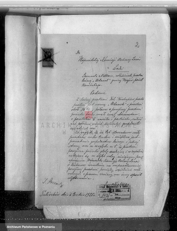 Obraz 6 z jednostki "Gmina Rzgów powiat koniński /nadzór nad gospodarką leśną/"