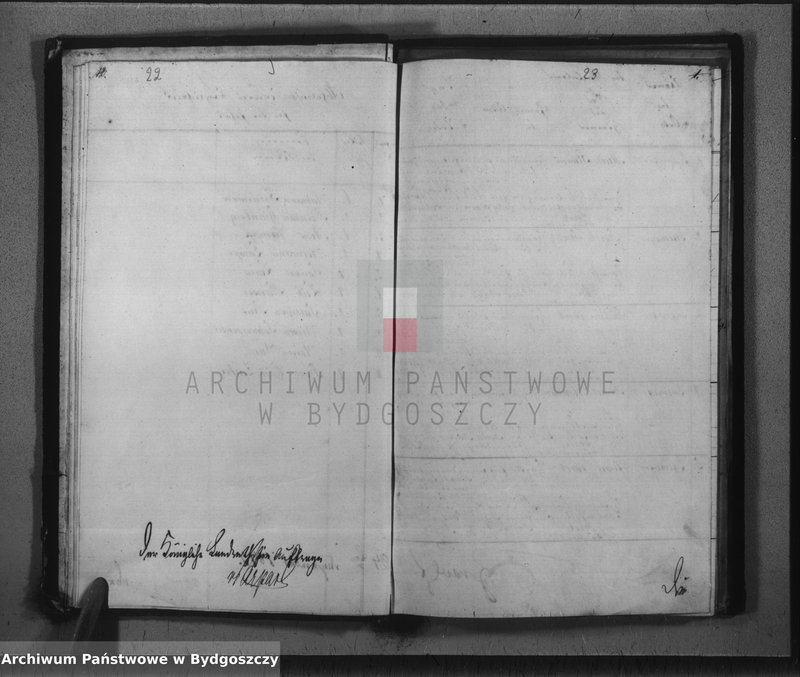 image.from.unit.number "Duplicate der Personen Standes Register der Juden Gemeinde zu Trzemeszno"