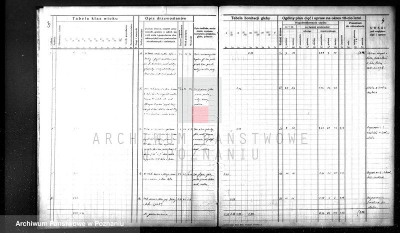 image.from.unit.number "Plan urządzenia gospodarstwa leśnego dla lasu majątku Lubosz powiatu międzychodzkiego 1936-1946"