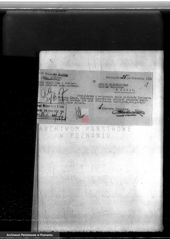 Obraz 5 z jednostki "Majątek Staremiasto powiat koniński /nadzór nad gospodarką leśną/"