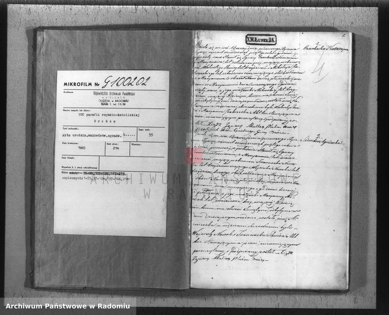 Obraz 3 z jednostki "[Akta stanu cywilnego wyznania rzymskokatolickiego parafii Brzóza 1865]"