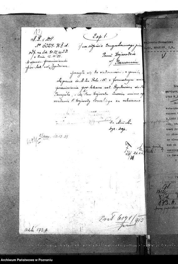 Obraz 18 z jednostki "Pow. lekarz Weterynaryjny Nowy Tomyśl"