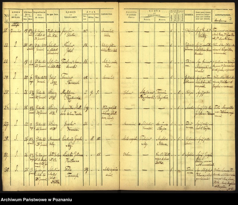 Obraz 6 z jednostki "Księga zgonów"