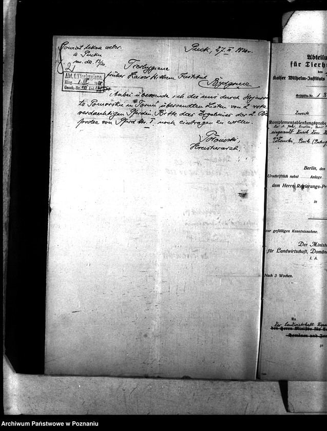 Obraz 6 z jednostki "Nosacizna - Puck"