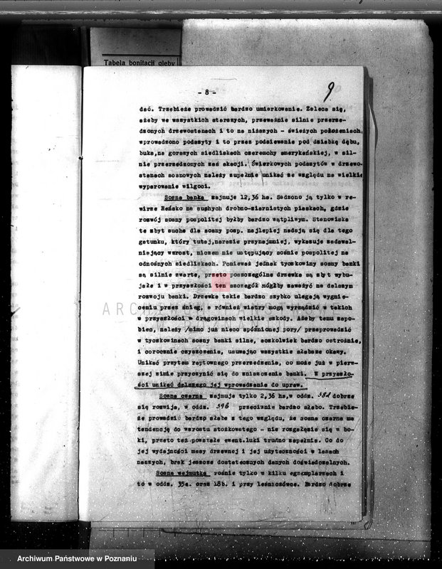 Obraz 13 z jednostki "Las majętność /Siekówko/ powiat kościański plan urządzenia 1933-1943"