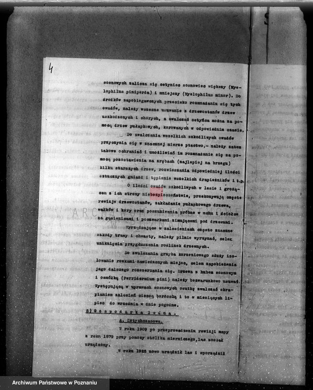 Obraz 10 z jednostki "Plan urządzenia gospodarstwa leśnego dla lasu majętności Lizie powiat nowotomyski"