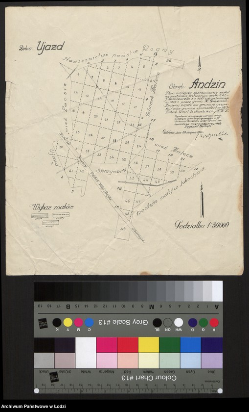 Obraz 1 z jednostki "Dobra Ujazd Obręb Andzin"