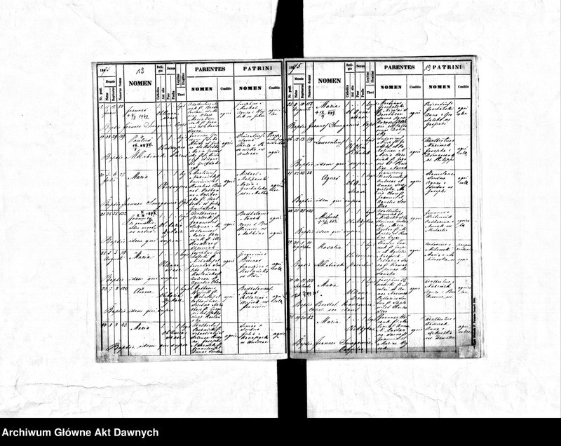 image.from.unit.number "Parafia: Mariampol [i Podhorce]. Dekanat: Buczacz [i Brody]. Księga metrykalna urodzeń 1862-1893 dla wsi Wołczków, parafia Mariampol [i 1861-1905 dla wsi Jasionów, parafia Podhorce]."