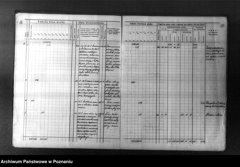 Obraz 13 z jednostki "Plan urządzenia gospodarstwa leśnego dla lasu majętności Kuleczyn w powiat nowotomyski 1933-1943"