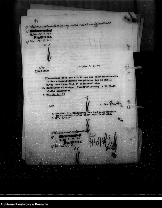 Obraz 19 z jednostki "Reichspachtschutzordnung"