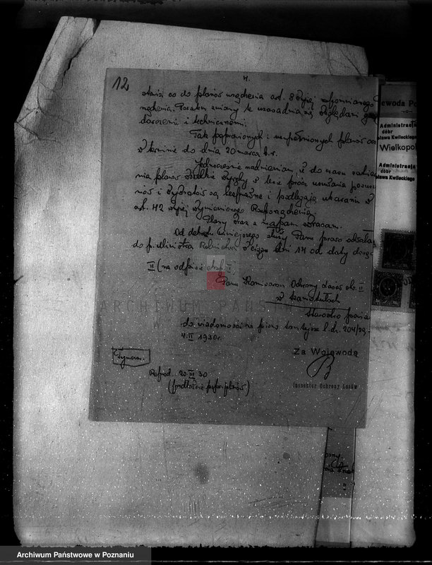 Obraz 16 z jednostki "Nadzór nad gospodarką w lasach majętności Kobylniki powiat kościański"