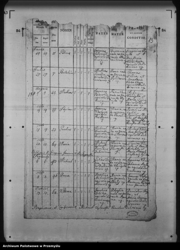 Obraz 17 z jednostki "[Kopie ksiąg metrykalnych parafii Daliowa z filią Szklary (dekanat Rymanów)]"