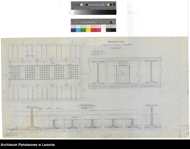 Obraz 2 z jednostki "Leszno miasto. Dokumentacja projektowa ogrodu zoologicznego."