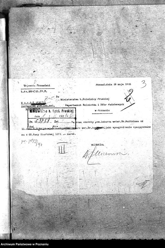 Obraz 7 z jednostki "Pow. lekarz Weterynaryjny Gniezno"