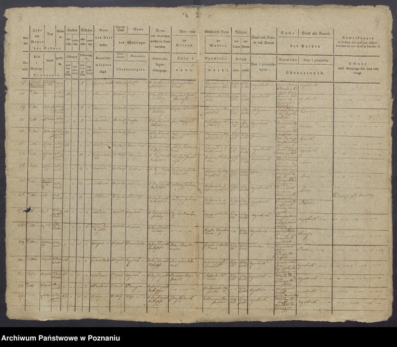 Obraz z jednostki "Duplikaty Urodzonych."