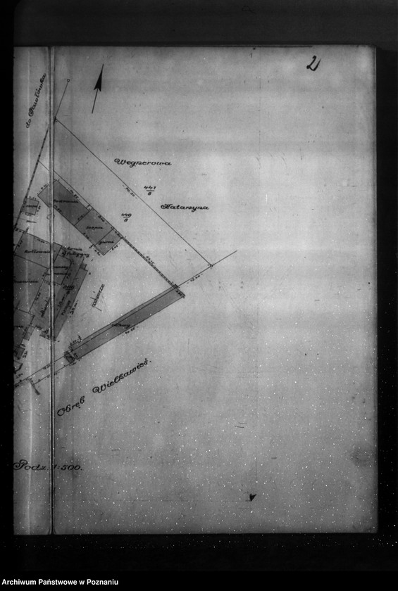 Obraz 6 z jednostki "Projekt przebudowy i dobudowy Mleczarni Bukowskiej w Pawłówku, pow. nowotomyski"