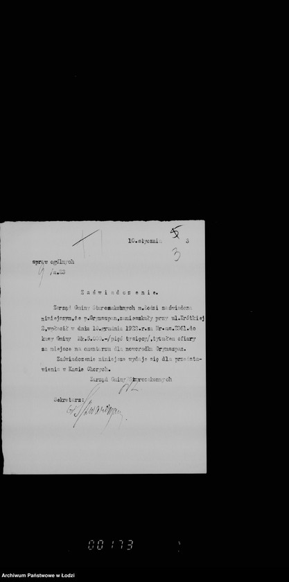 Obraz 7 z jednostki "Cmentarz"