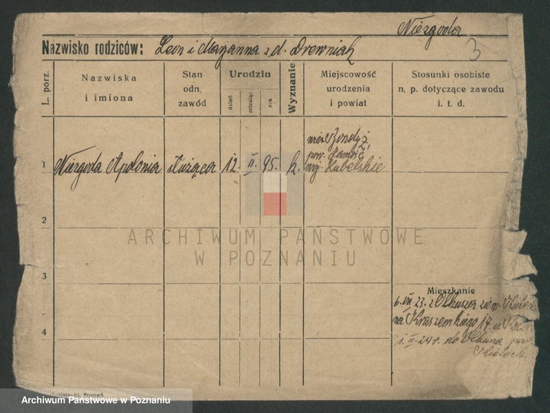 image.from.unit.number "Niezdarowa - Niklewski"