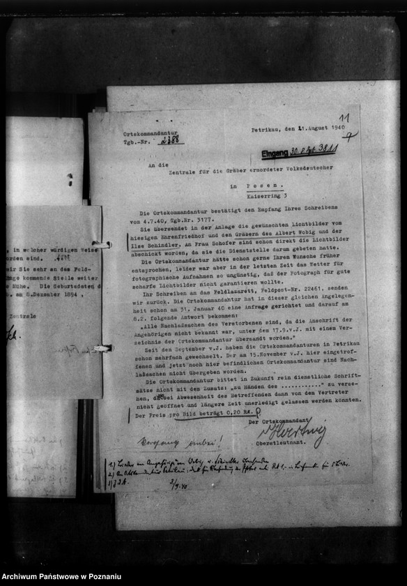 Obraz 15 z jednostki "Gräber in Petrikau (Piotrków Trybunalski)"