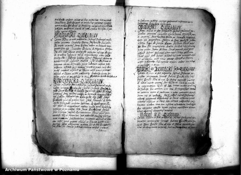 Obraz 10 z jednostki "Inscriptiones [inducta]"