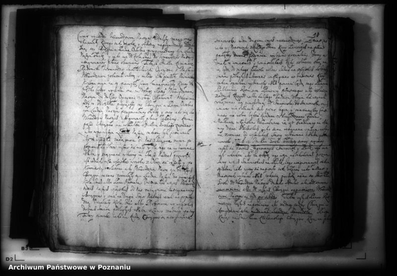 Obraz 13 z jednostki "Lauda [acticantia]"