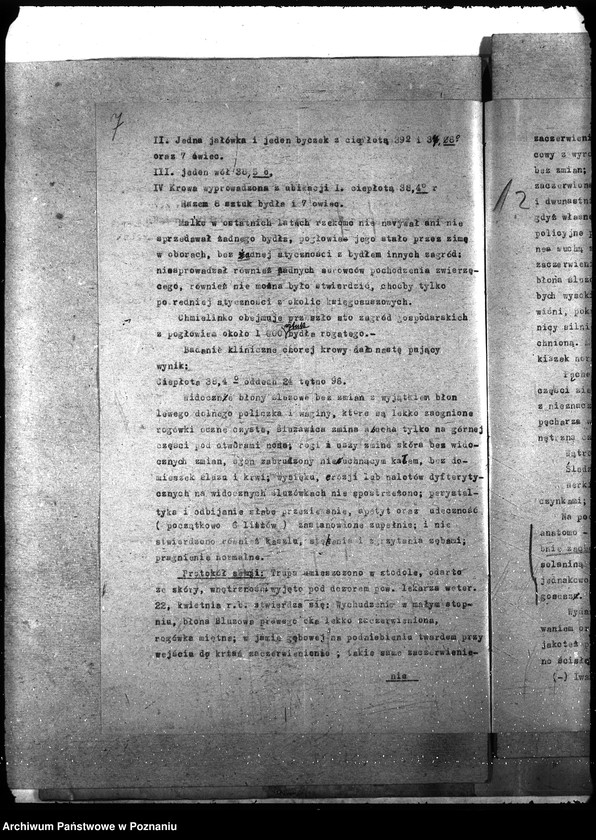 Obraz 11 z jednostki "Księgosusz - Nowy Tomyśl"